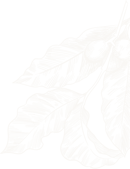 Home page hero shape 2 image