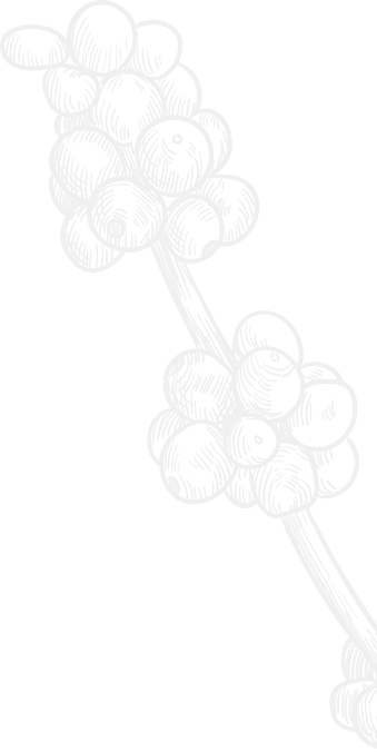 Home page shape 4 image